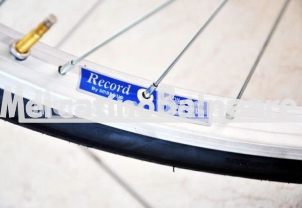 Beach Bici per Hotel - Bicicletta Professionale Personalizzata - immagine 10