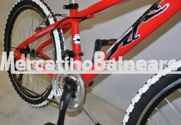 Mountain Bike Bambino - Bicicletta Professionale Personalizzata - immagine 4