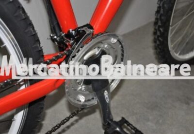 Mountain bike 26'' - Bicicletta Professionale Personalizzata - immagine 10