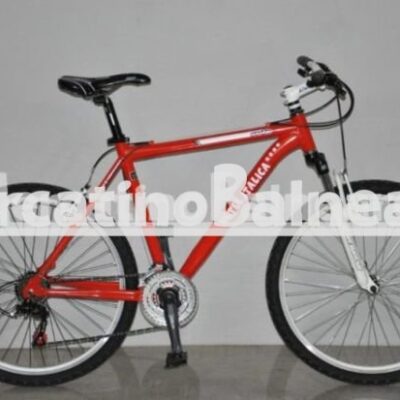 Mountain bike 26'' - Bicicletta Professionale Personalizzata