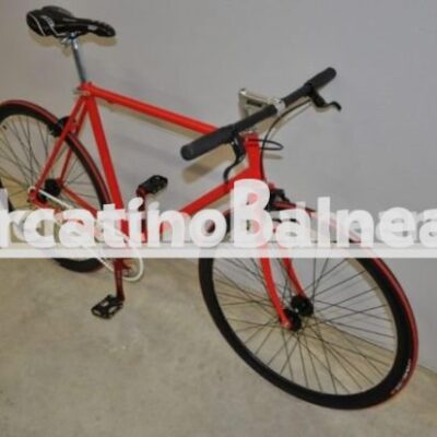 Single Speed - Bicicletta Professionale Personalizzata