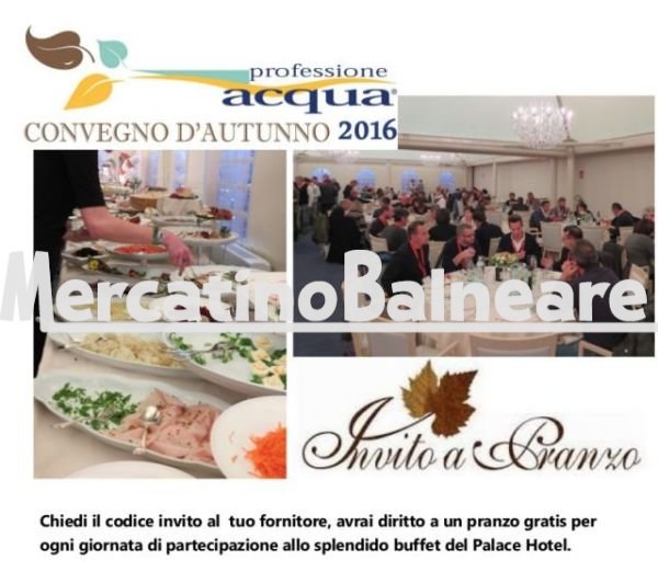 Convegno d'autunno 2016 Professione Acqua - Milano Marittima - immagine 2