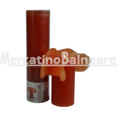 Candela profumata "WINTER": frutta, cannella, eucalipto